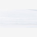 Load image into Gallery viewer, AN Dolomite Supreme Polished 24x48 Porcelain Tile
