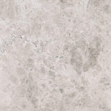 Tundra Gray Marble Tile